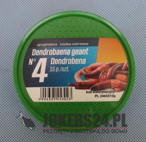Dendrobena  nr 4 pudełko 