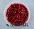 g rubisGRUBY RUBIS-crop.JPG