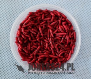 Robak gruby rubis 0,25 l