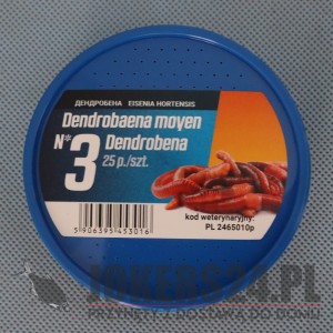 Dendrobena  nr 3 pudełko 