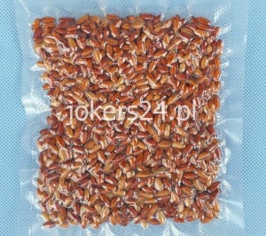 Kaster 1/4 l
