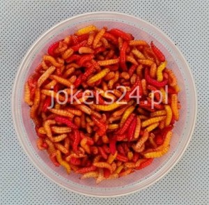 Robak  gruby  mix 0,25 l  